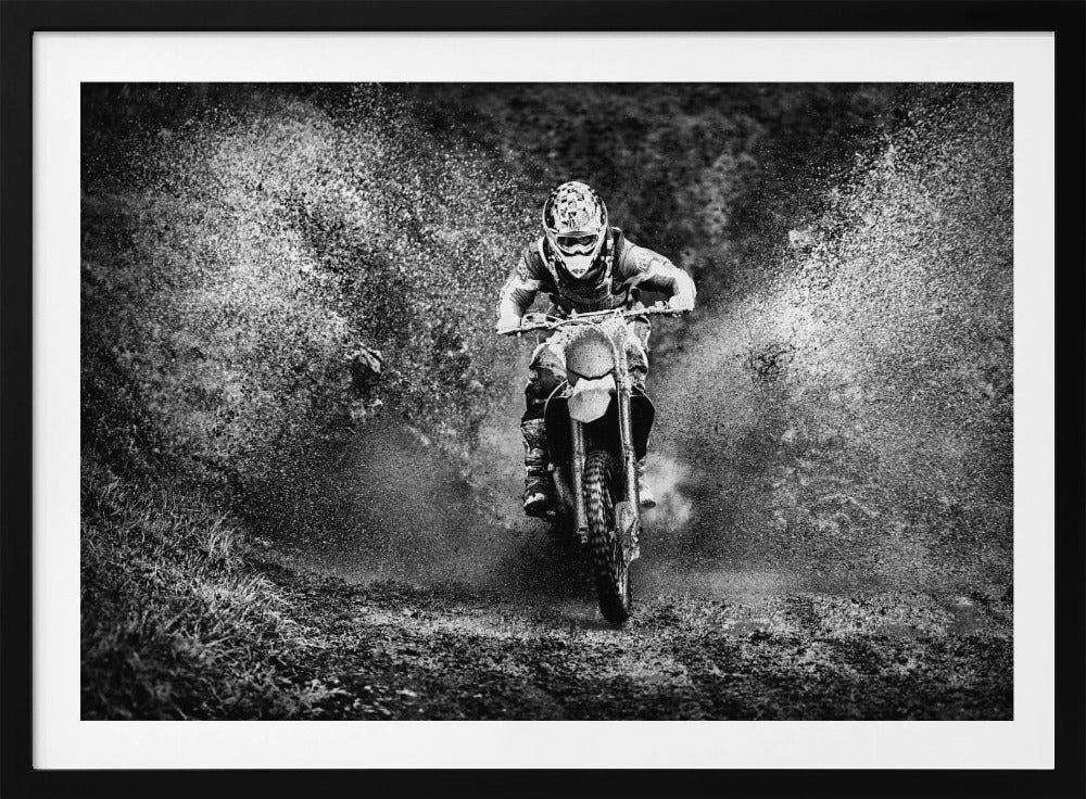 * | Posters - Impresiones de Arte