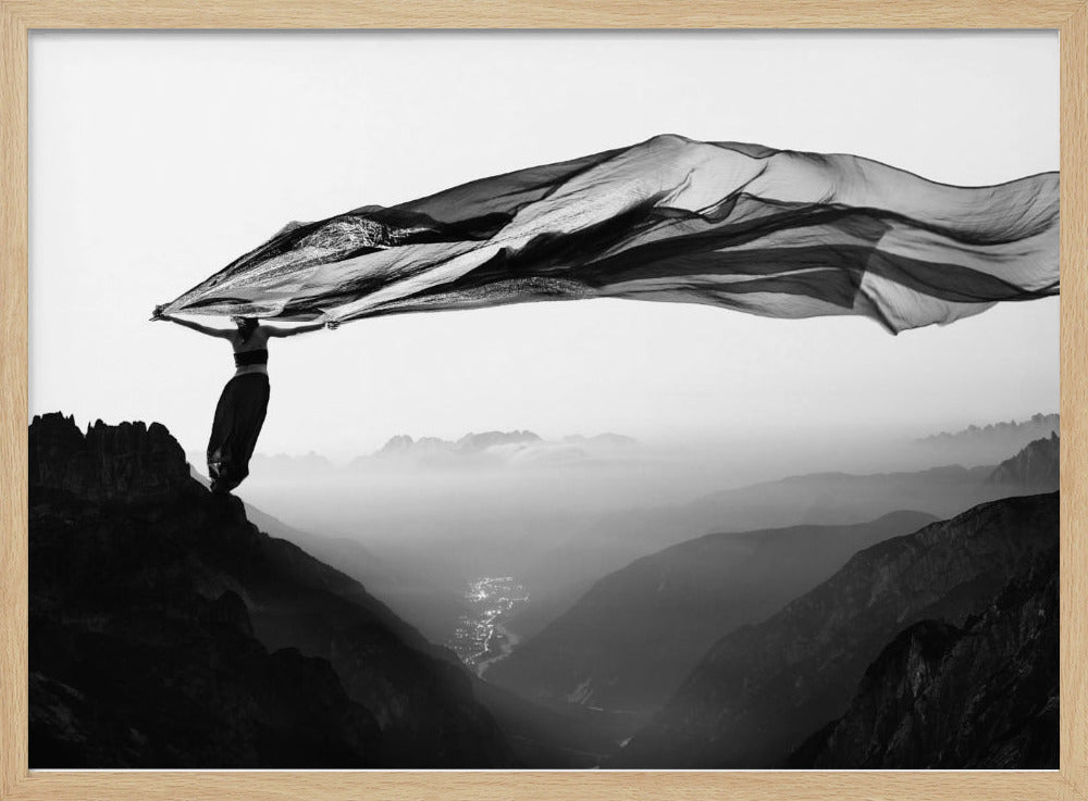 Free as the wind | Poster