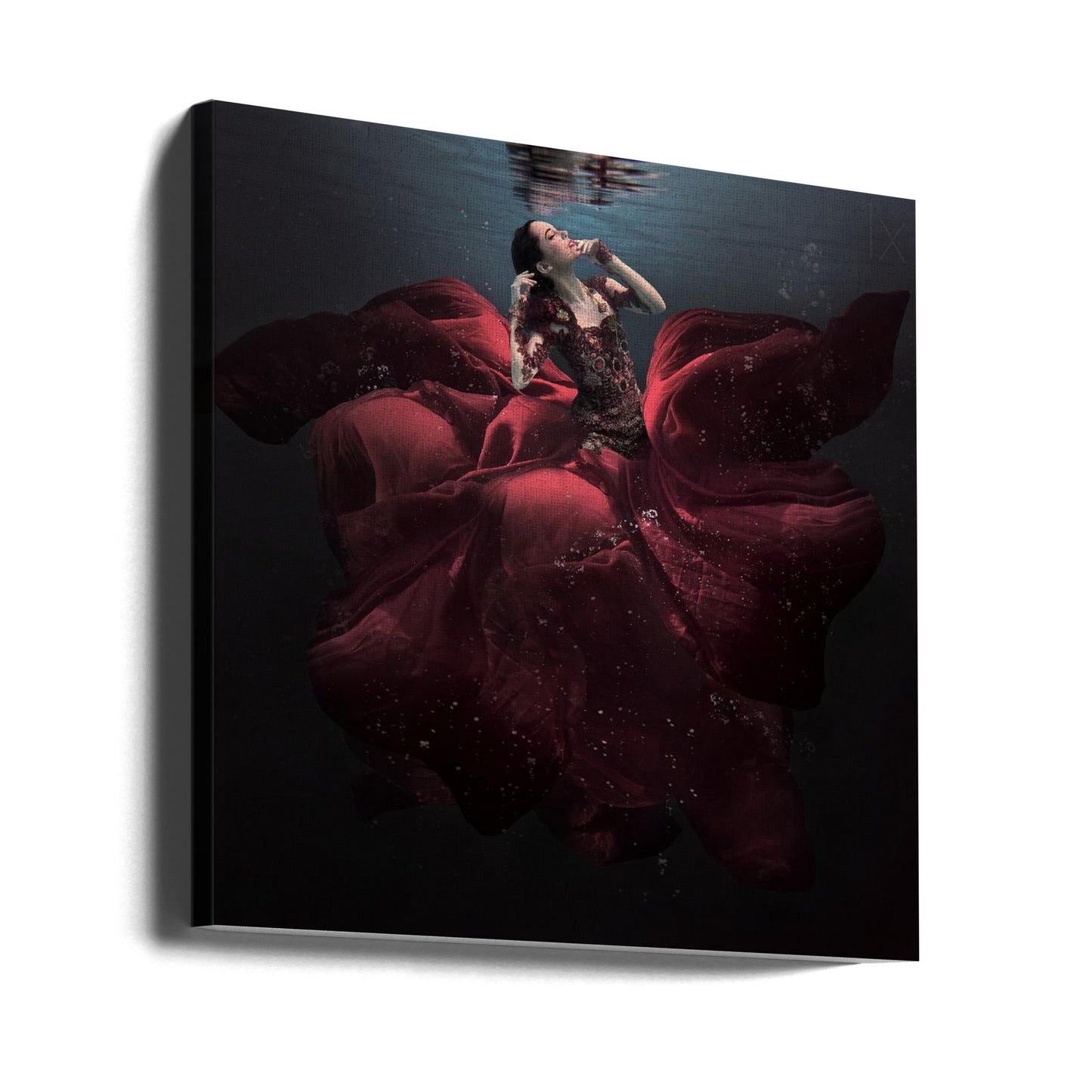 The Lady in Red | Canvas