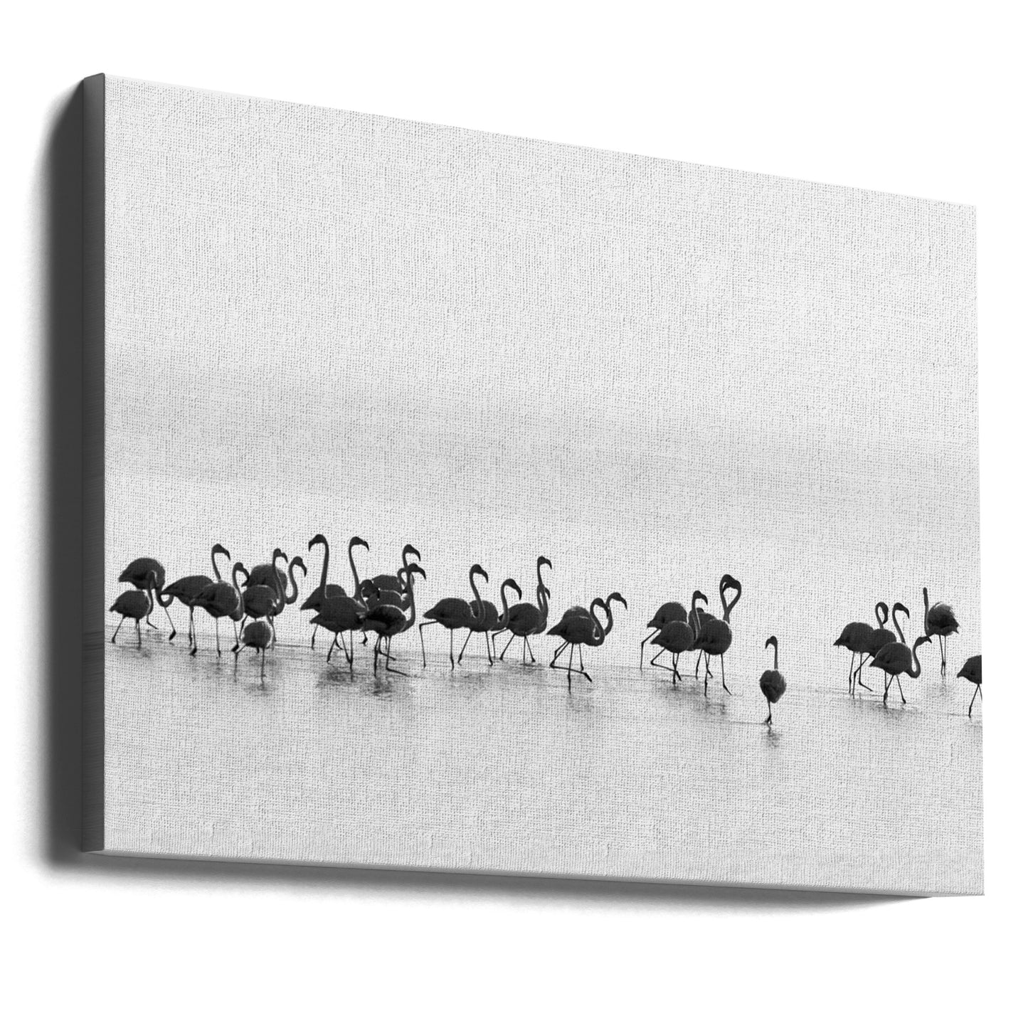 Flamingos | Canvas