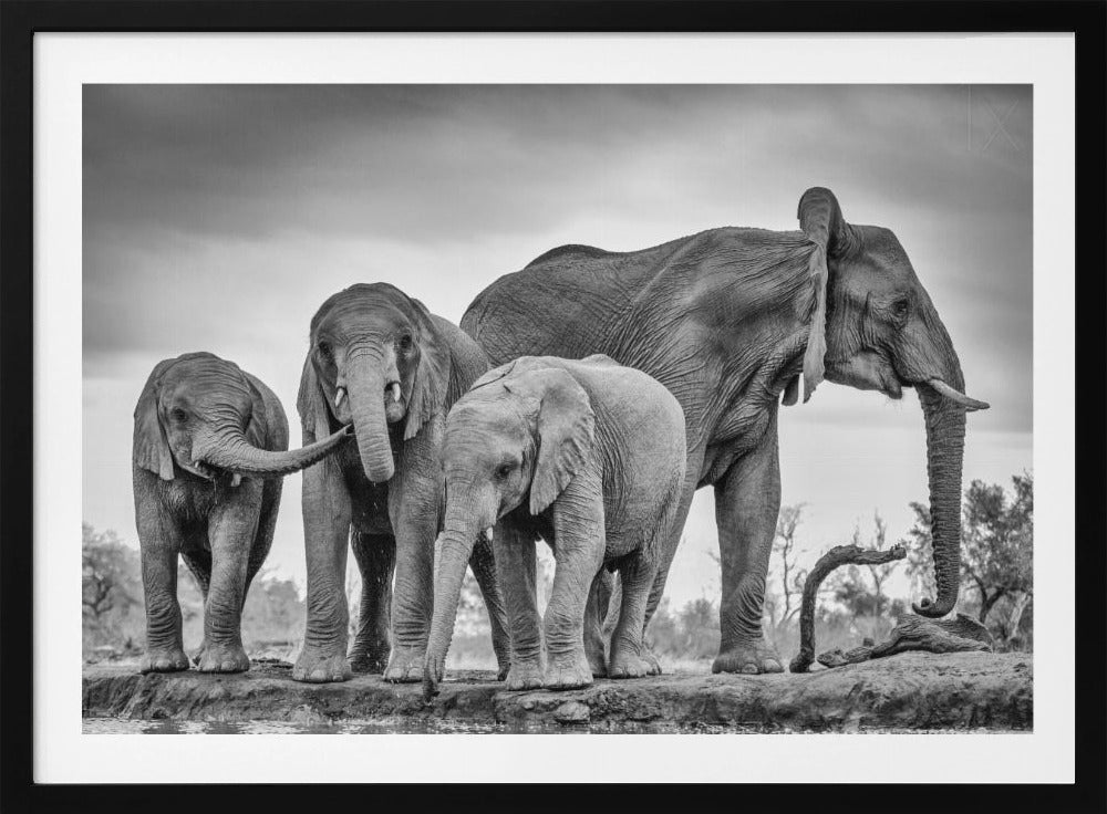 Una unidad gigante | Posters - Impresiones de Arte