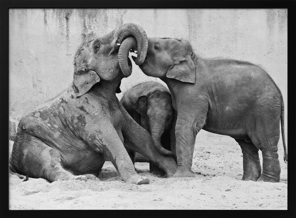 TRES VÍAS | Posters  - Impresiones de Arte