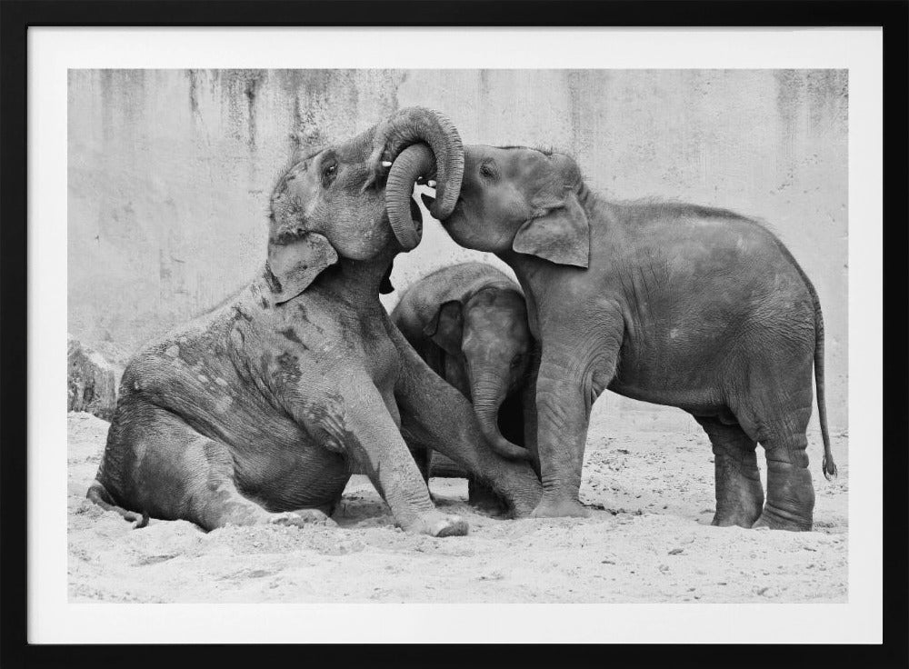 TRES VÍAS | Posters  - Impresiones de Arte