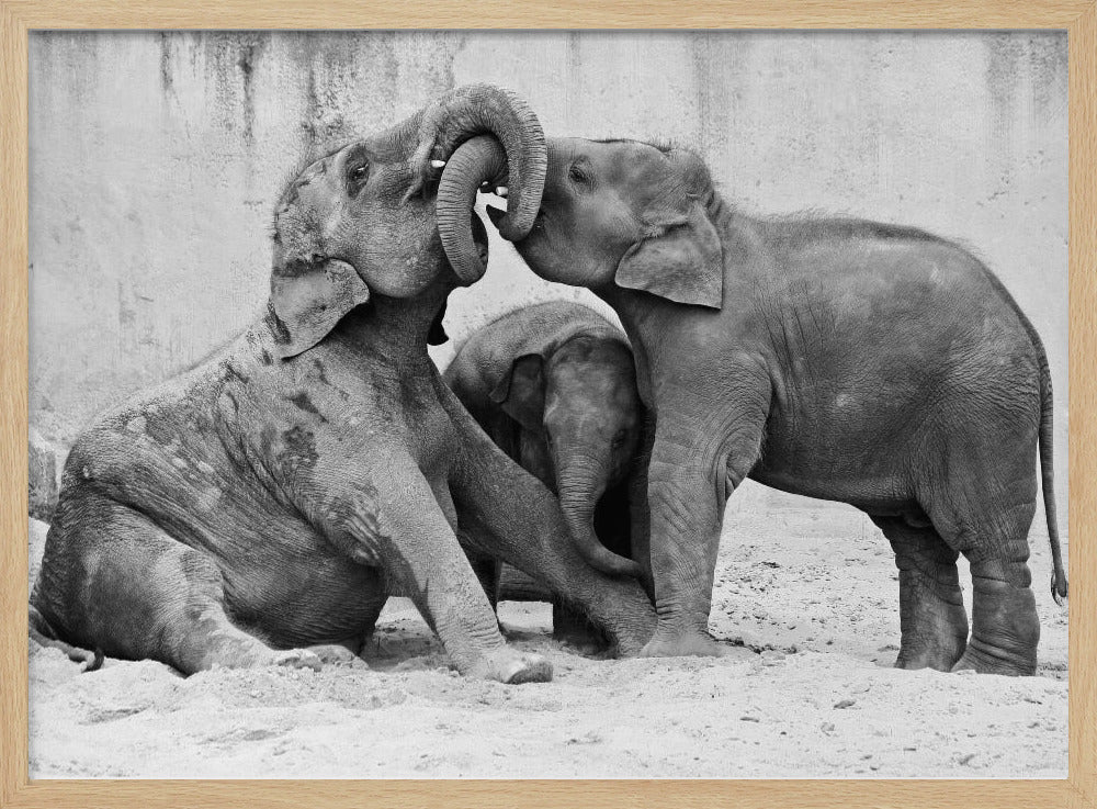 TRES VÍAS | Posters  - Impresiones de Arte