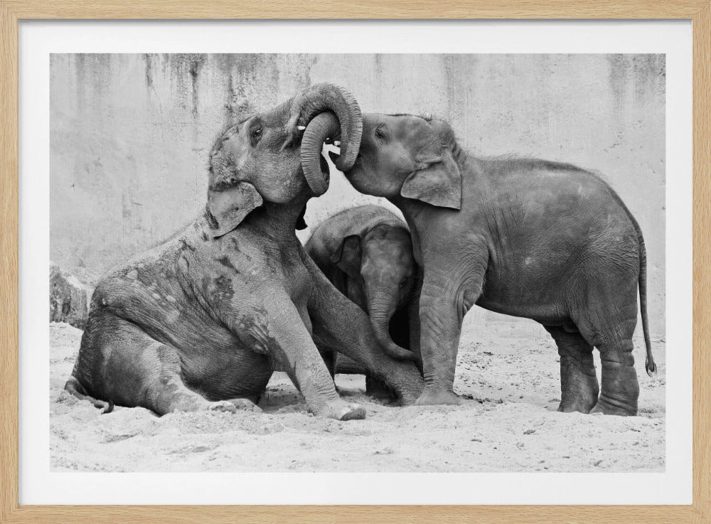 TRES VÍAS | Posters  - Impresiones de Arte