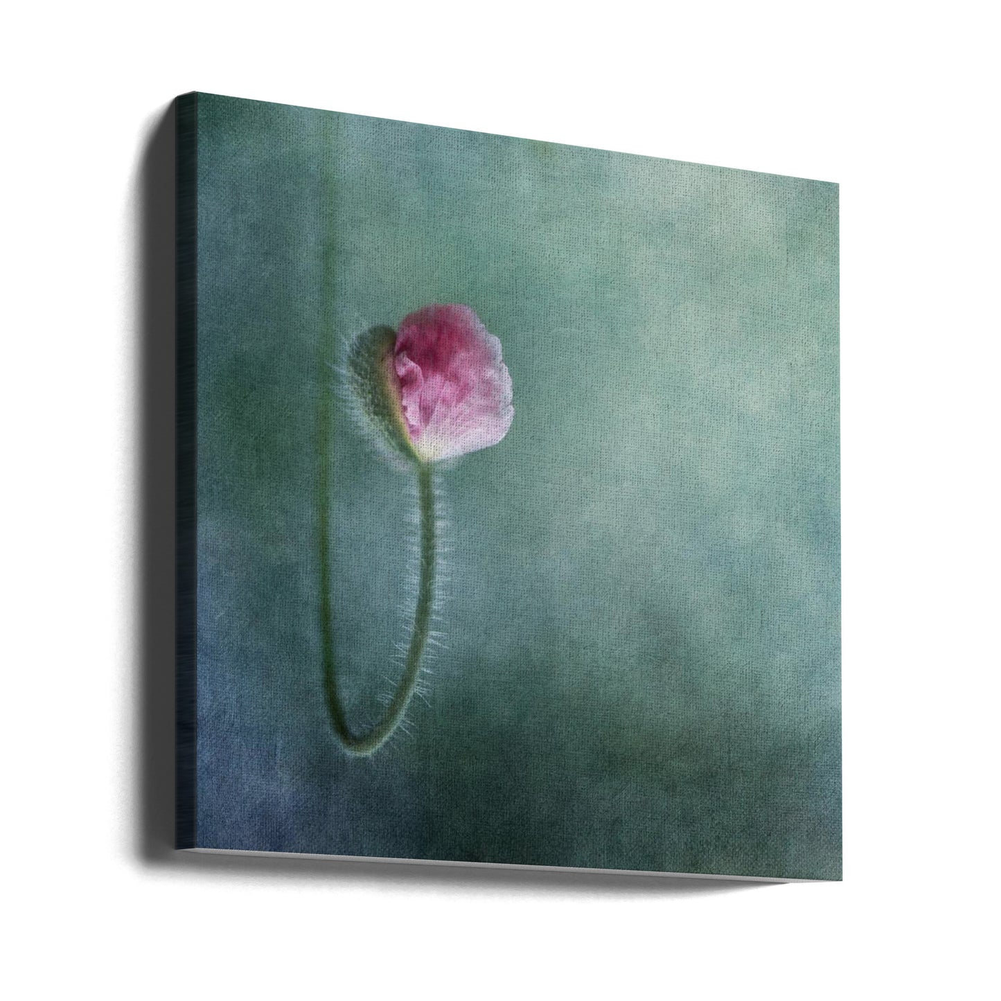 Trust | Canvas