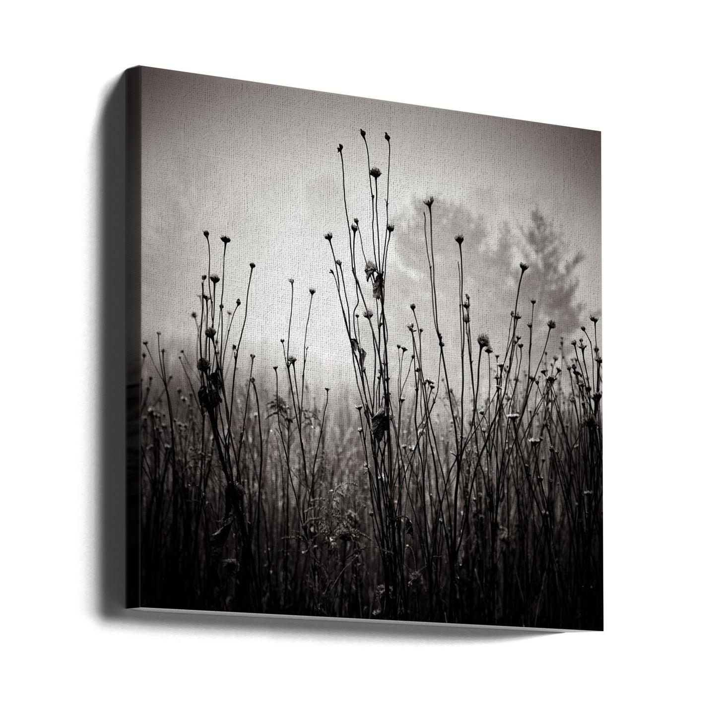 Rośliny łąkowe 1 | Wydruki na łótnie