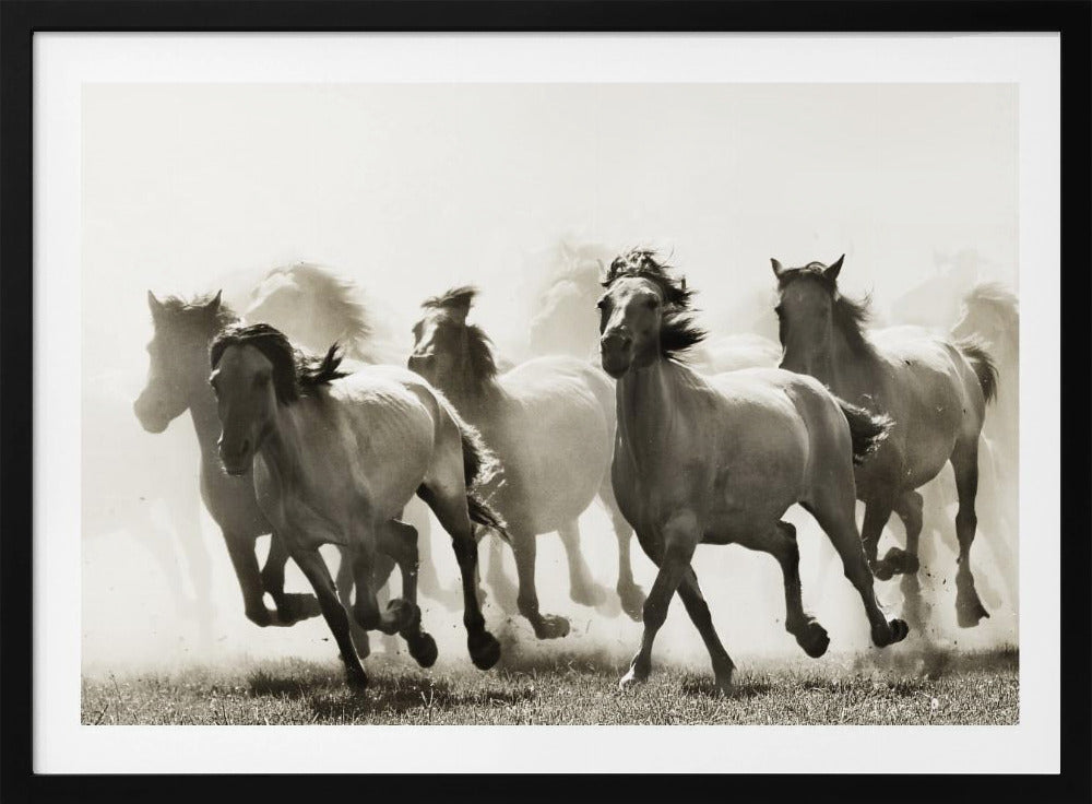 Horse | Poster