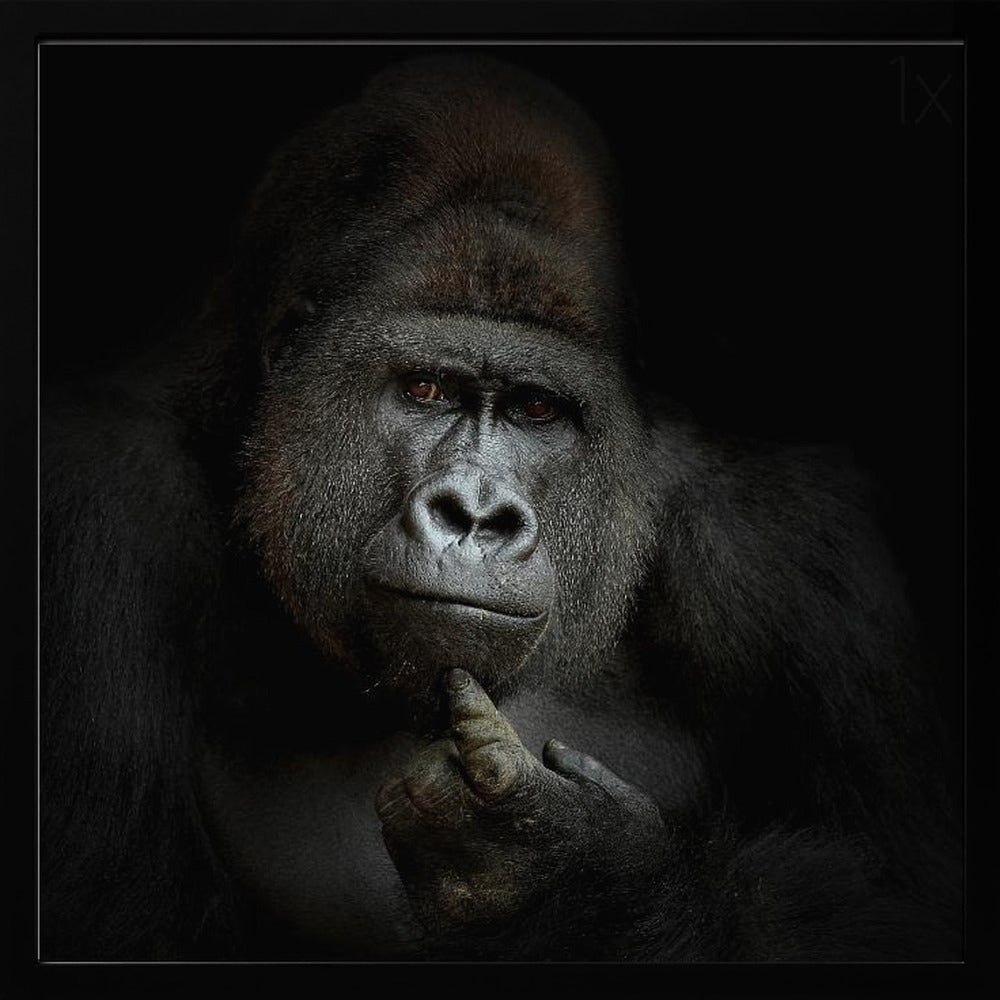 ego cogito, ergo sum | Poster