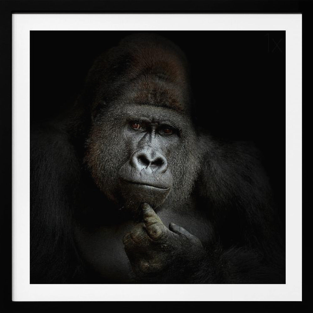 ego cogito, ergo sum | Poster