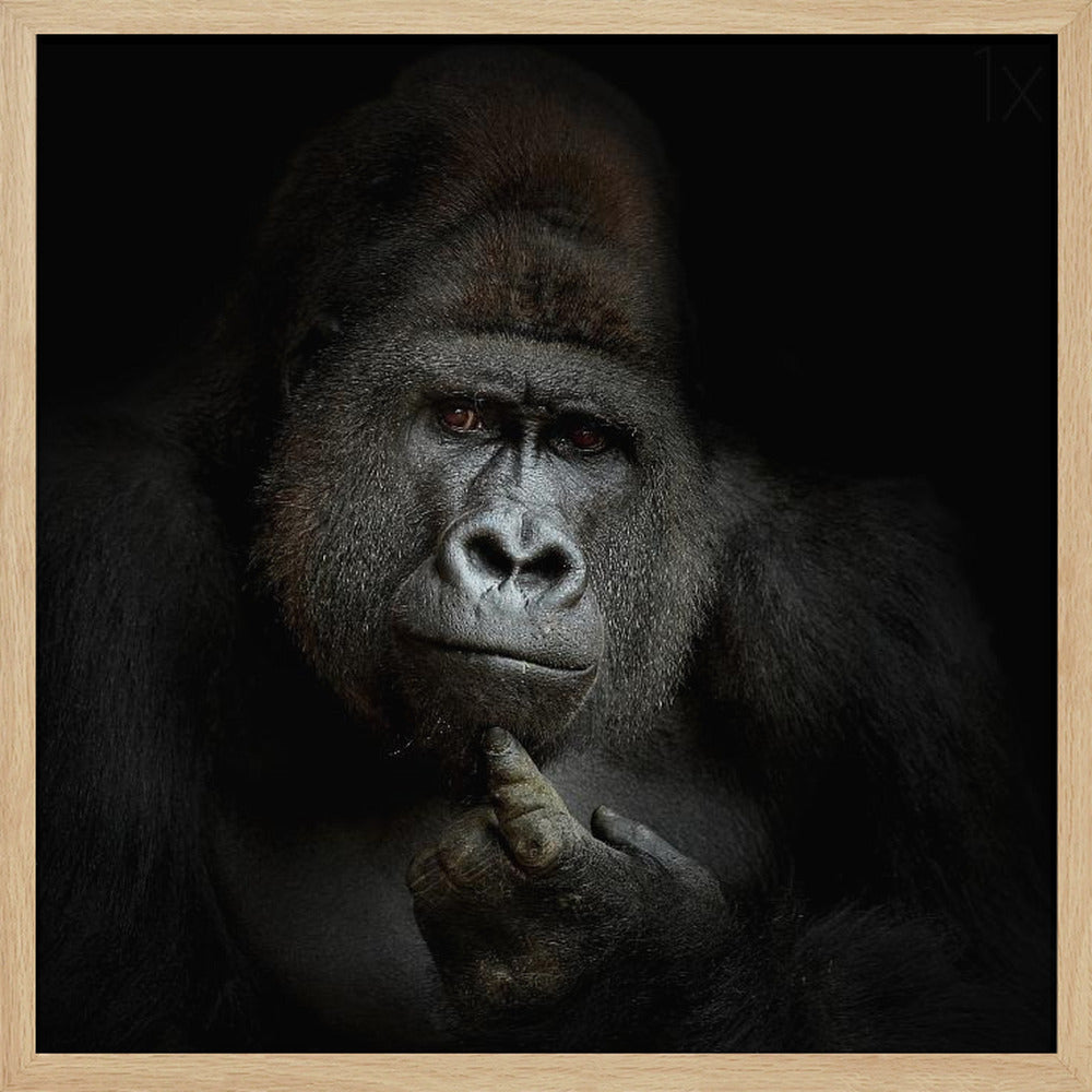 ego cogito, ergo sum | Poster