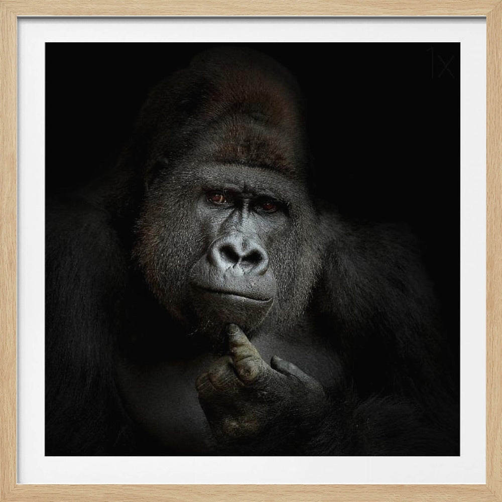 ego cogito, ergo sum | Poster