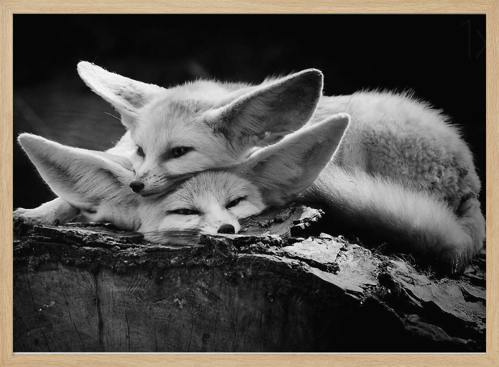 Onnellinen pari | Julisteet - Taidevedokset