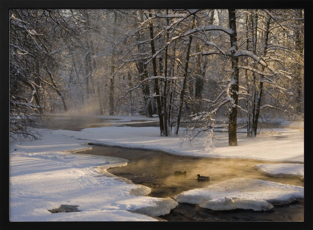 Ensimmäinen valo | Julisteet - Taidevedokset