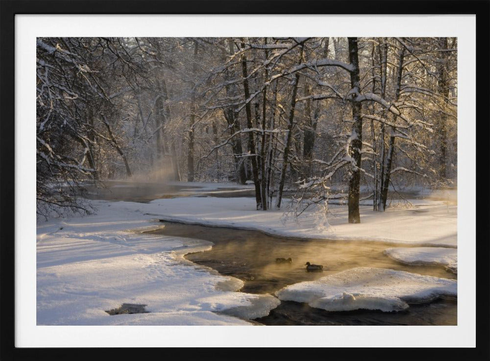 Ensimmäinen valo | Julisteet - Taidevedokset