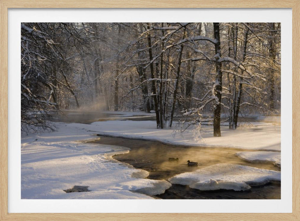 Ensimmäinen valo | Julisteet - Taidevedokset