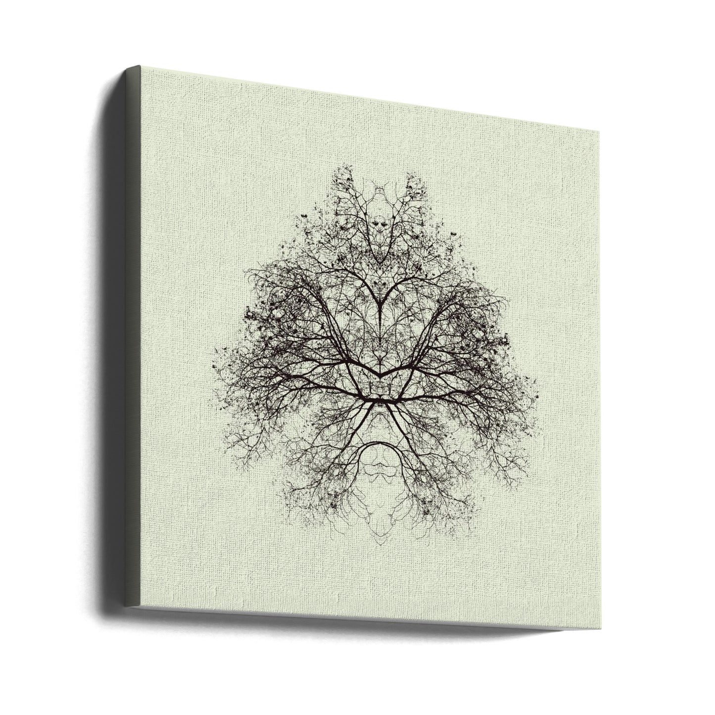 Rorschach Test | Canvas