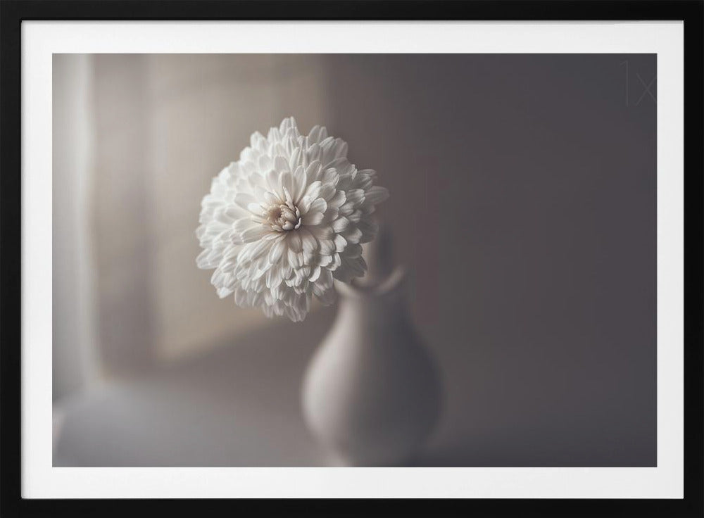 luz de la ventana | Posters  - Impresiones de Arte