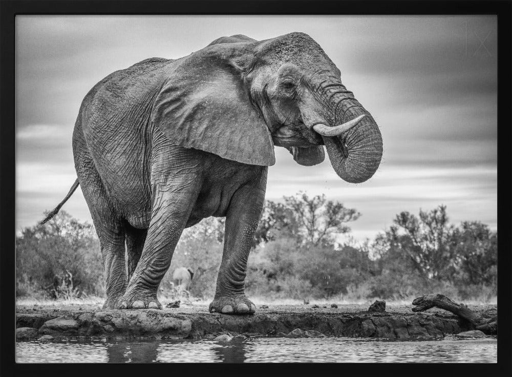 Seisova ylpeänä | Julisteet - Taidevedokset