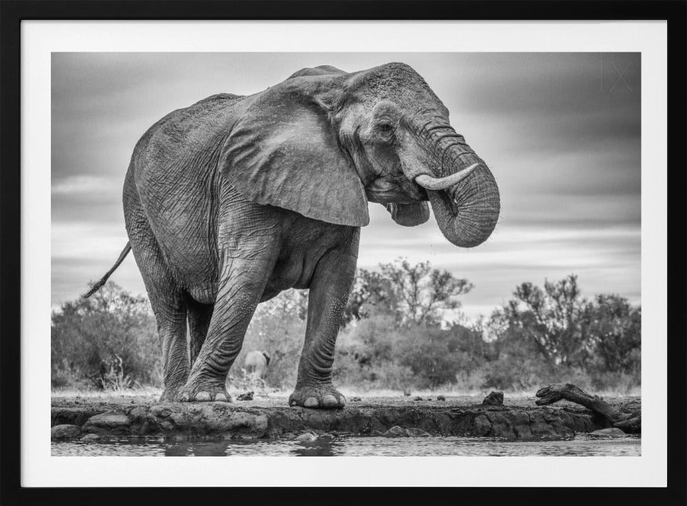 Seisova ylpeänä | Julisteet - Taidevedokset