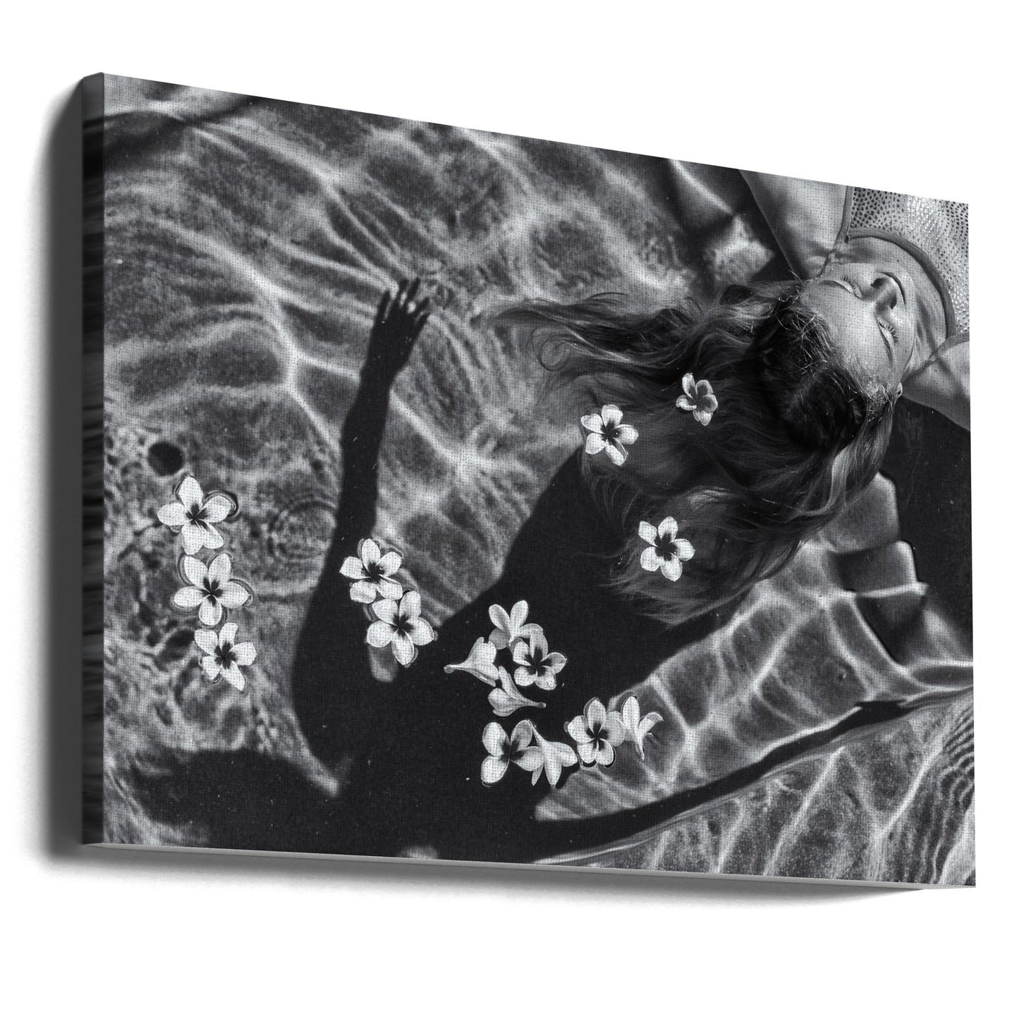 Drzewo plumerii | Wydruki na łótnie