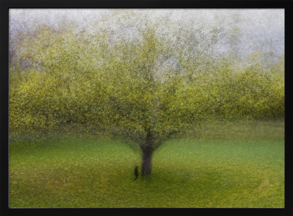 El gato junto al árbol | Posters  - Impresiones de Arte