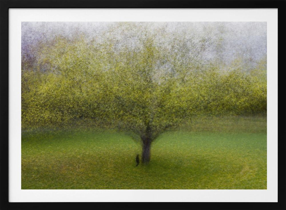 El gato junto al árbol | Posters  - Impresiones de Arte