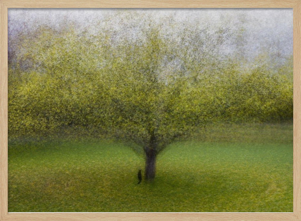 El gato junto al árbol | Posters  - Impresiones de Arte