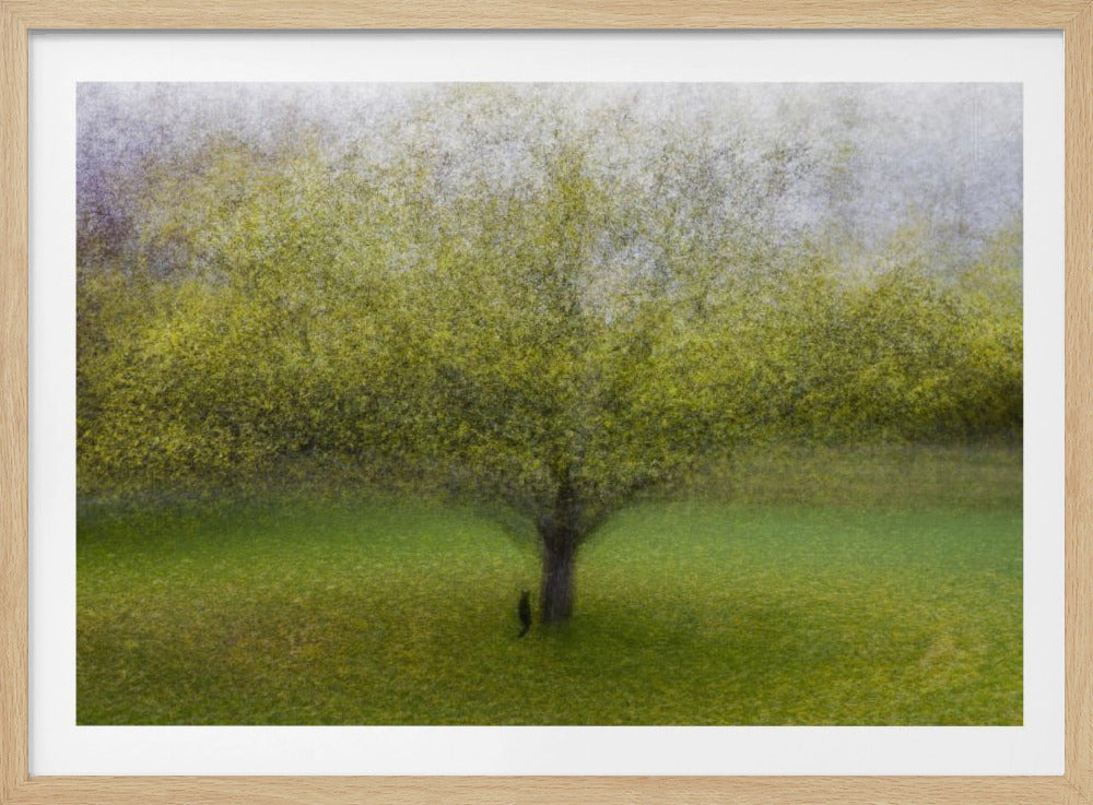 El gato junto al árbol | Posters  - Impresiones de Arte