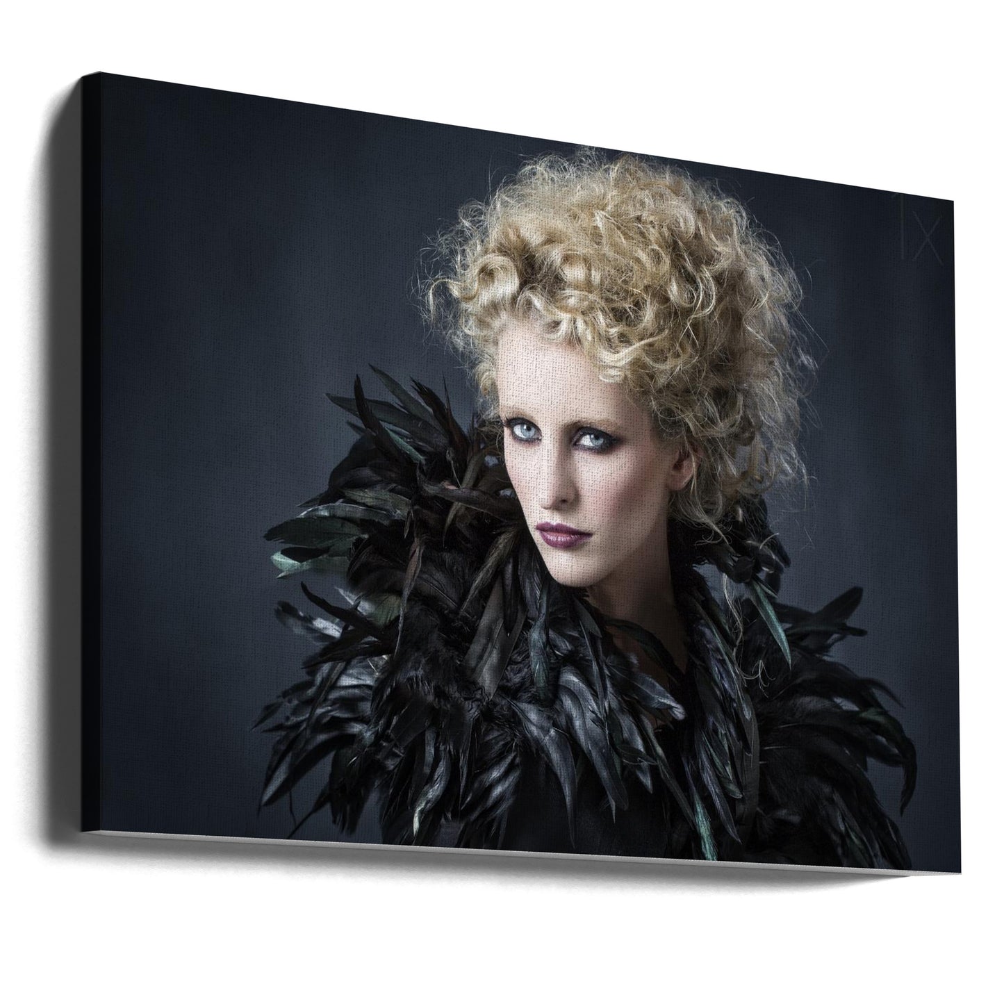 Pierzasty Fredau | Wydruki na łótnie