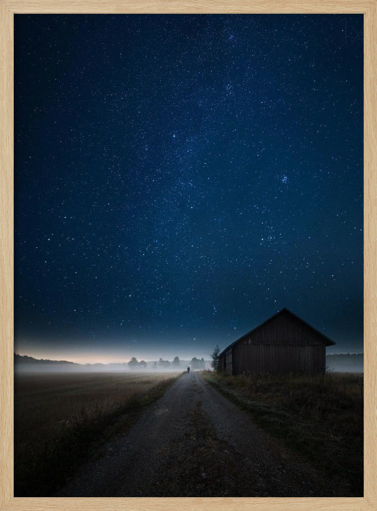 I walk alone | Poster