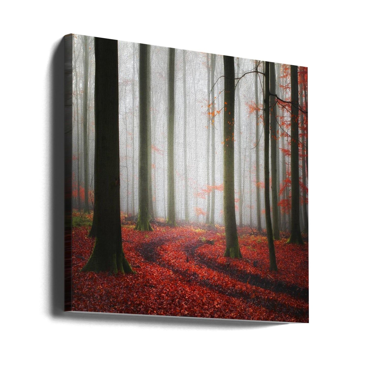Autumnal Tracks | Canvas