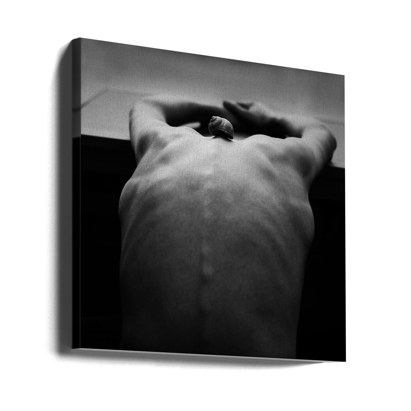 ślimak Wydruki na łótnie