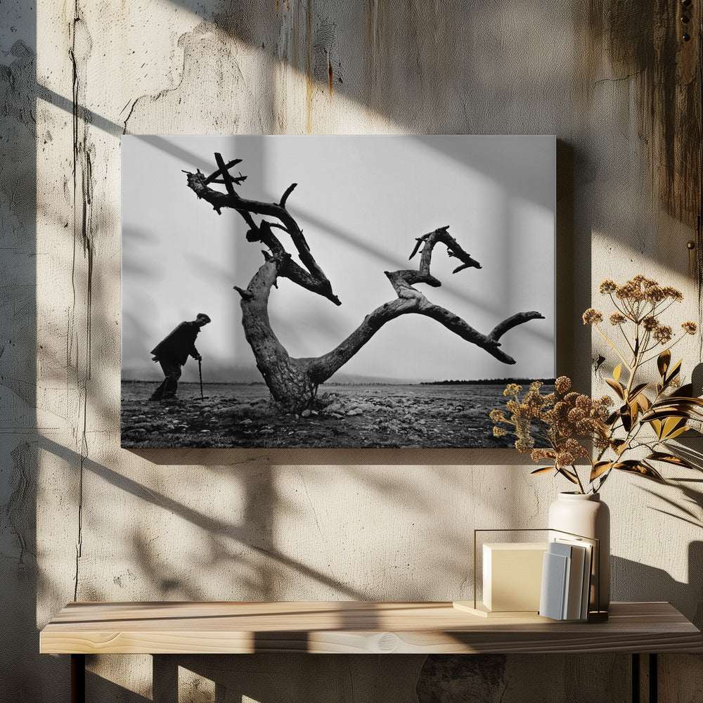 Vanha mies ja puu | Canvastaulut