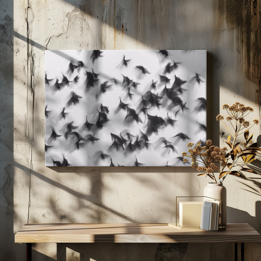 Oiseaux | Tableaux sur Toile