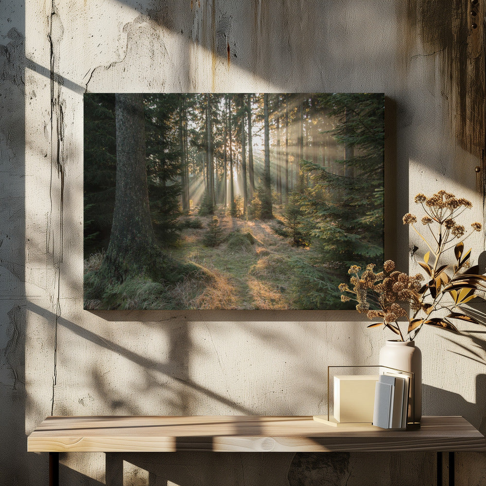 Säteet, osa 2 | Canvastaulut