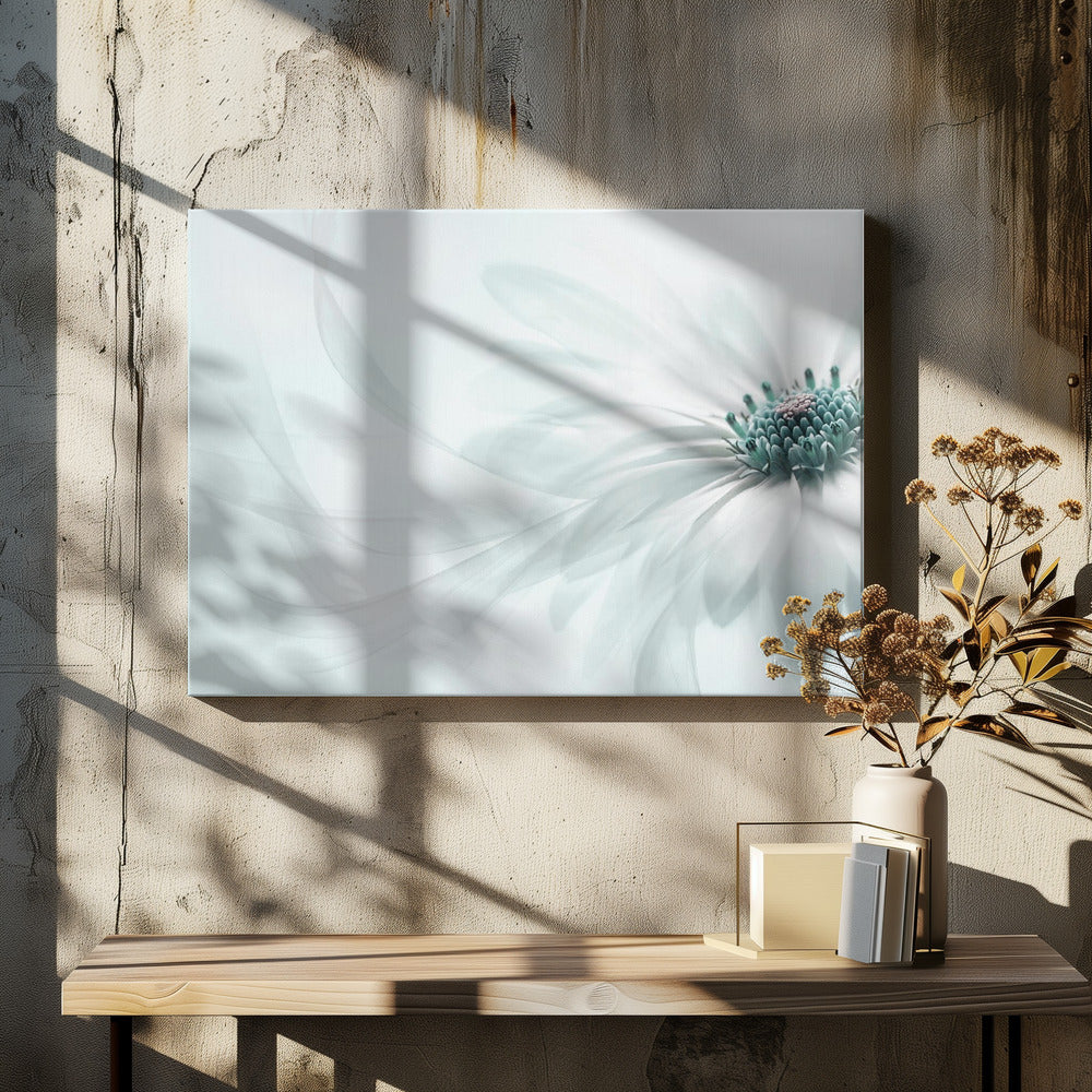 Czystość | Wydruki na łótnie