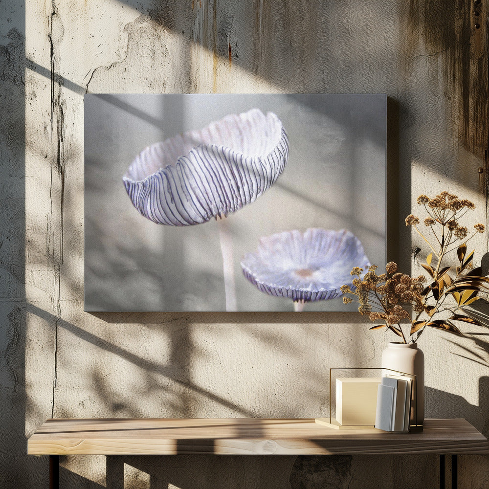 mushroom | Canvas
