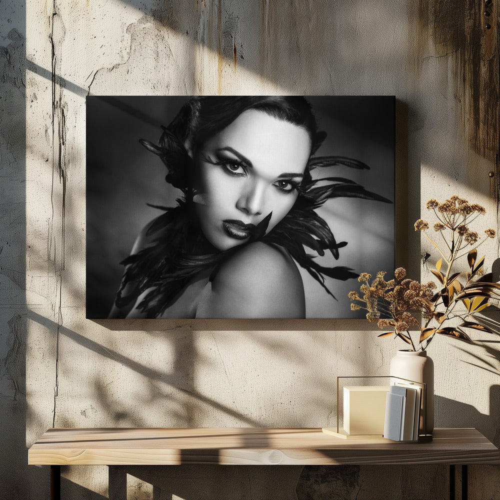 Le piume nere | Stampe su Tela