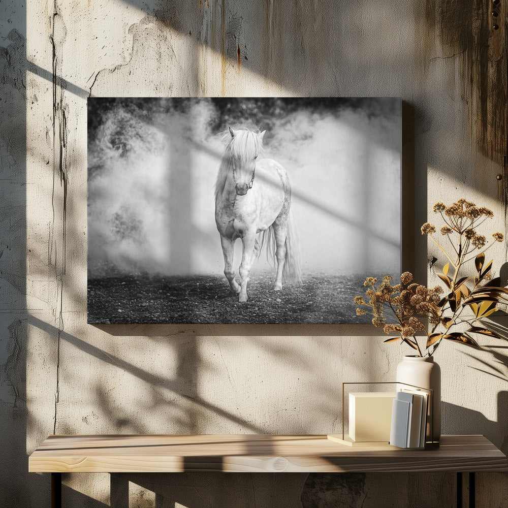 Pony islandese | Stampe su Tela