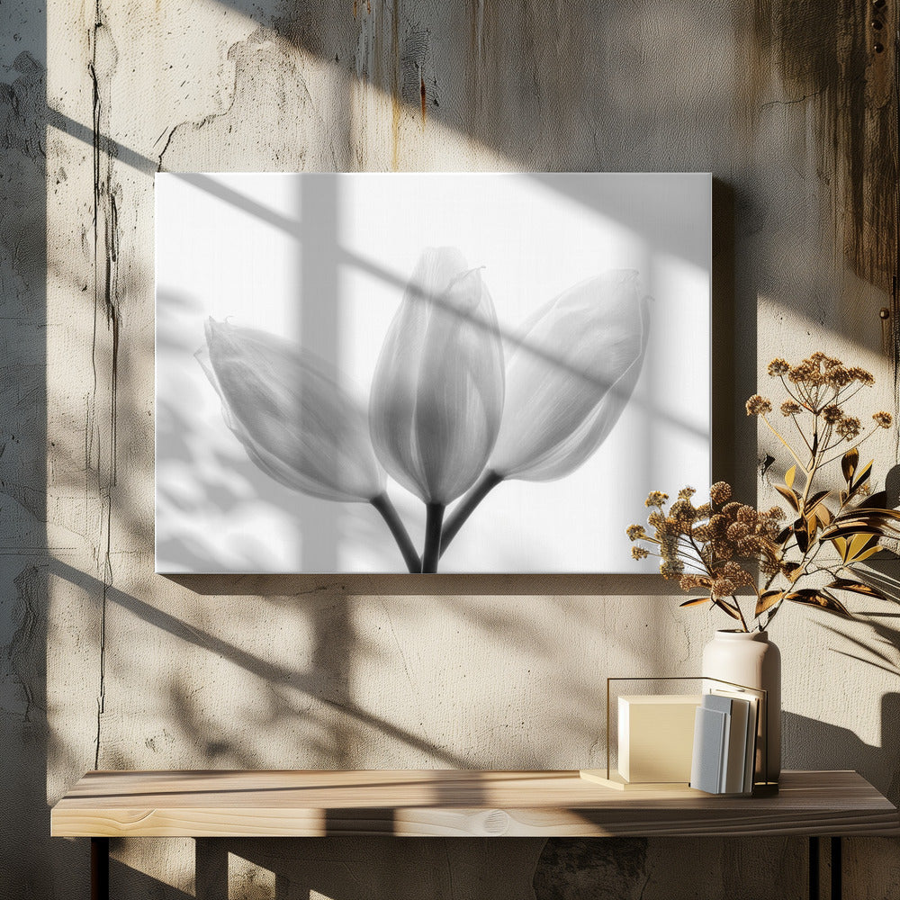 Trinité | Tableaux sur Toile