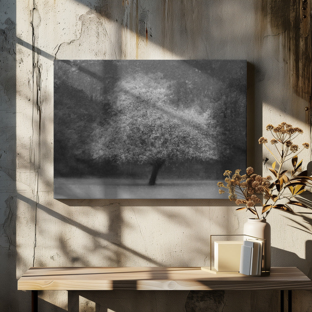 Baumzauber | Leinwand-Bilder