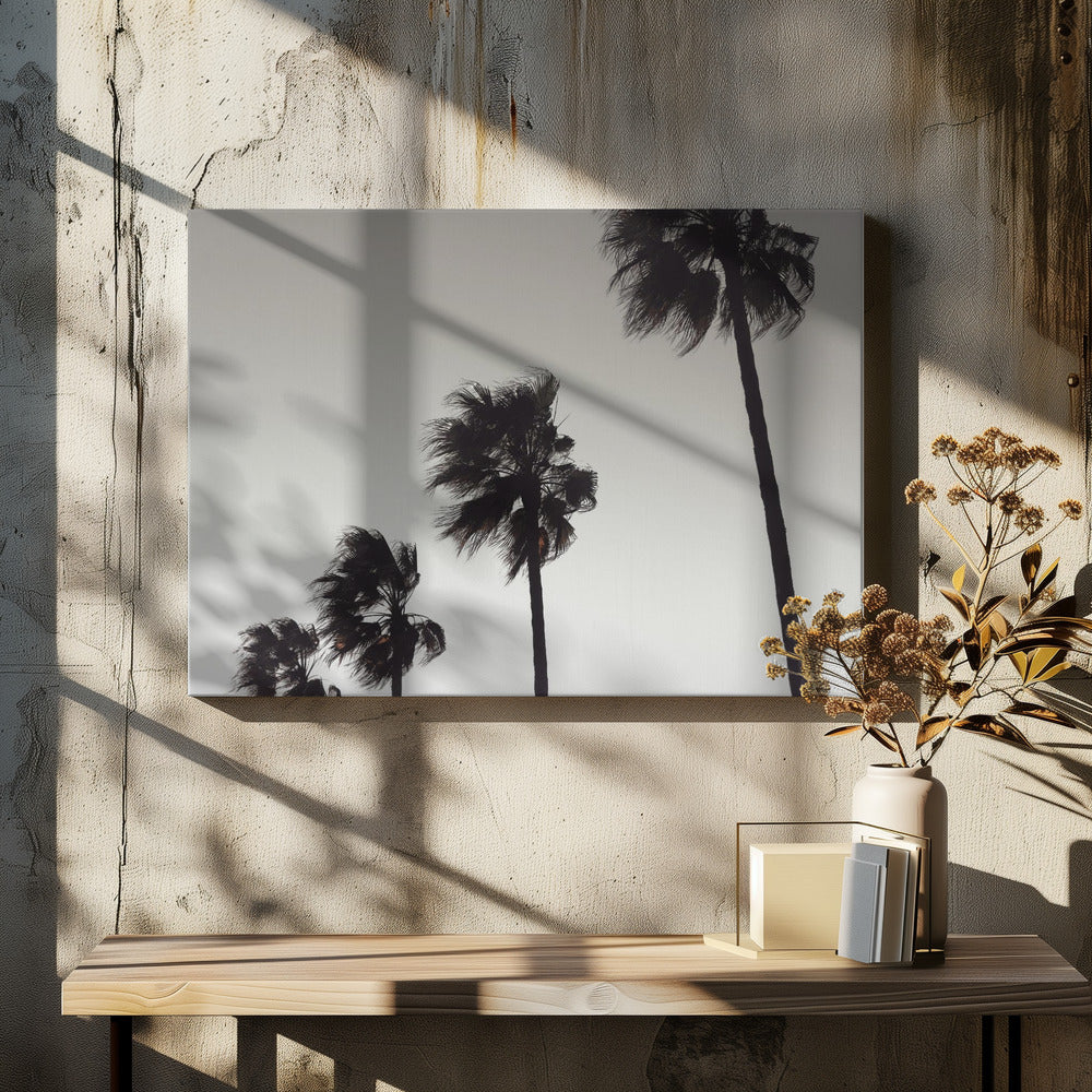 Palma_004 | Impresiones en Lienzo