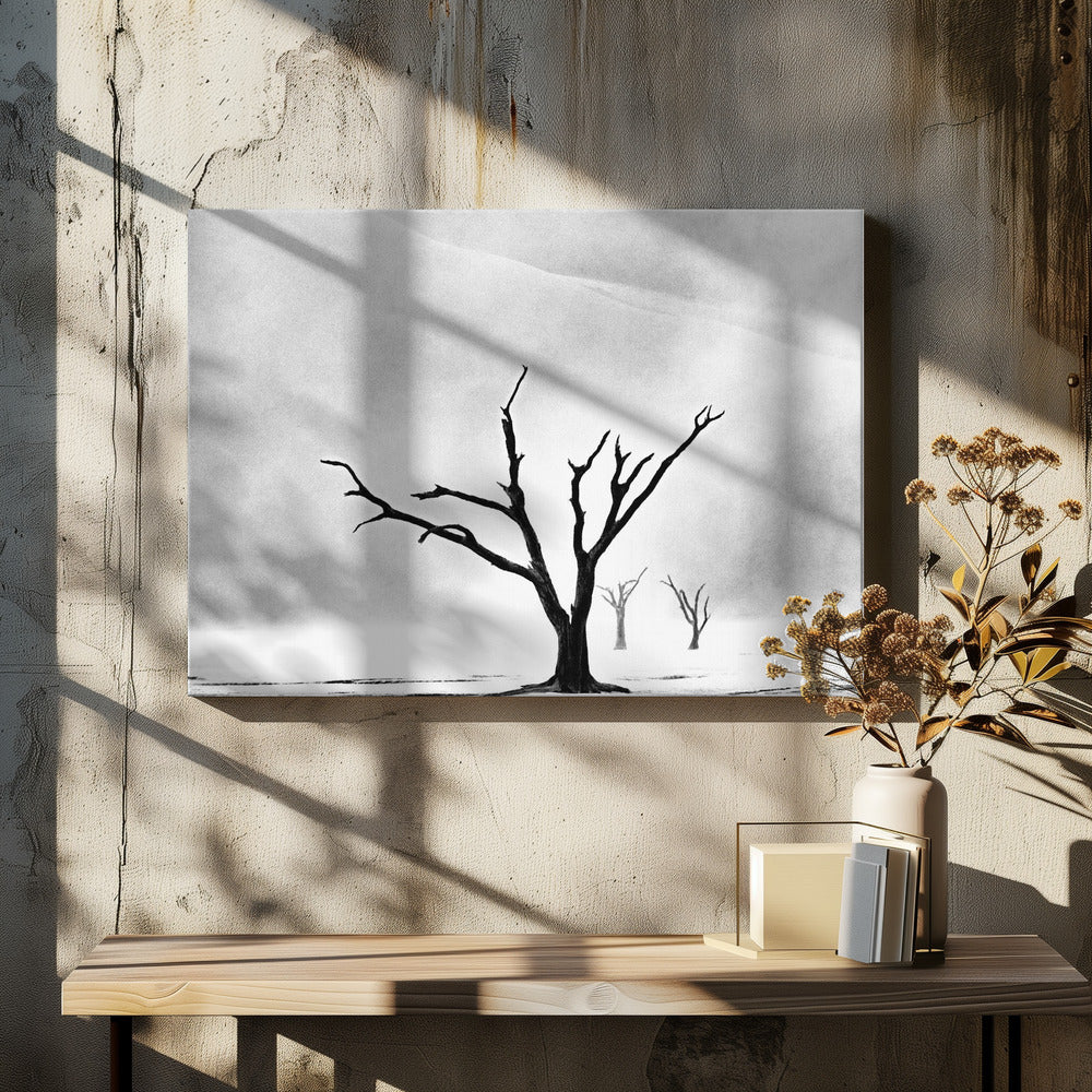 Namibia: The Spirit of Wilderness | Canvas
