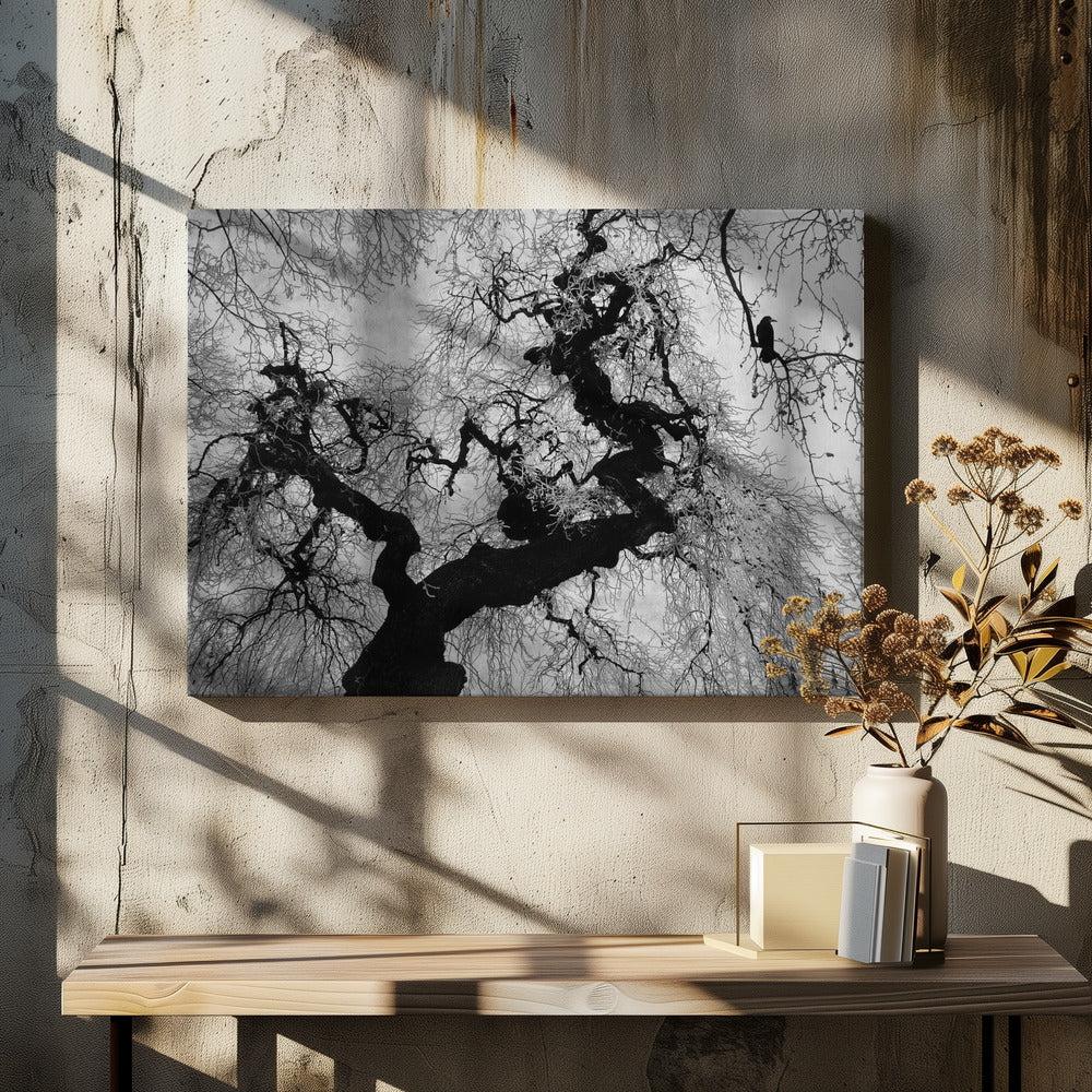 Si en un día de invierno | Impresiones en Lienzo