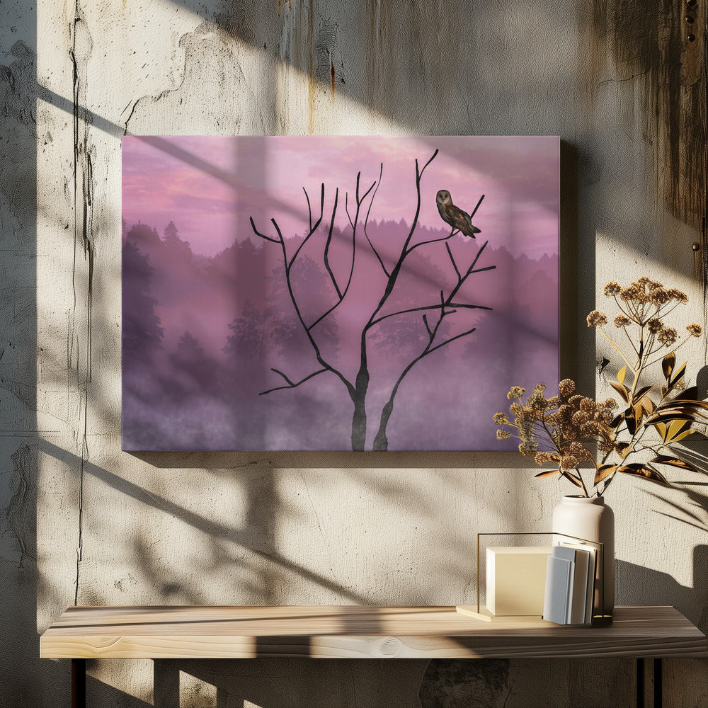 Rosa Himmel am Morgen | Leinwand-Bilder