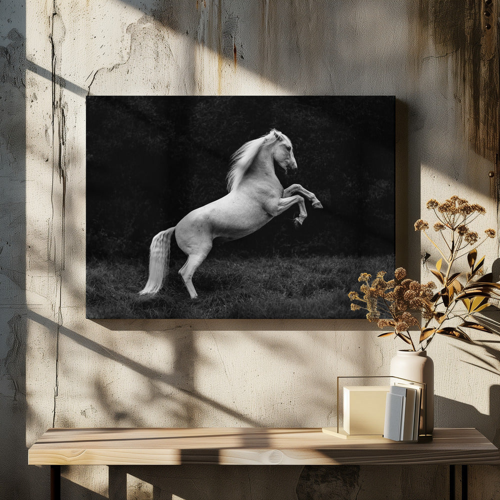 una historia corta de una brizna de hierba en un casco | Impresiones en Lienzo