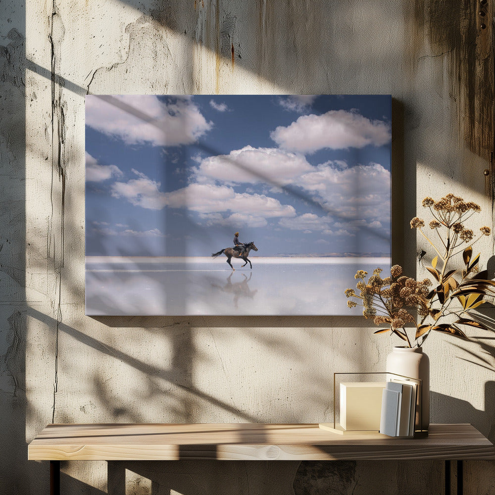 Jinete Salado | Impresiones en Lienzo