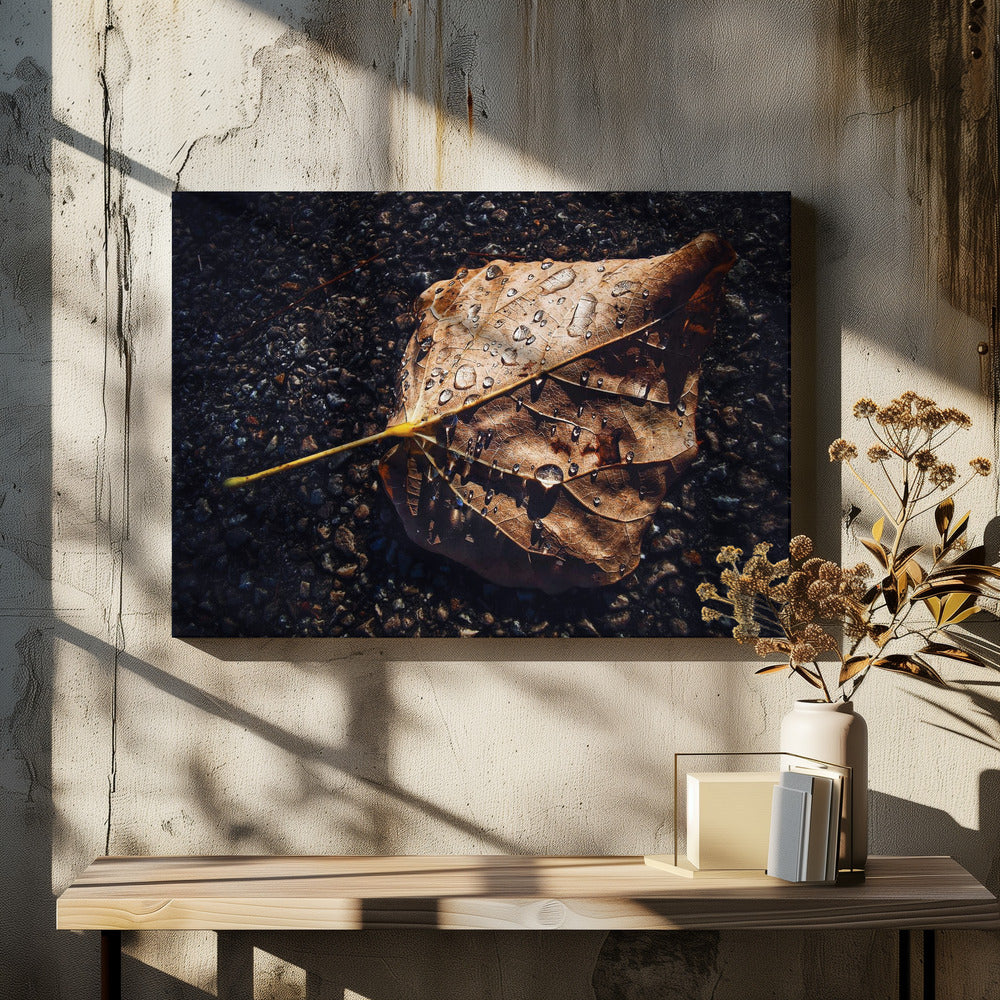 Feuille | Tableaux sur Toile