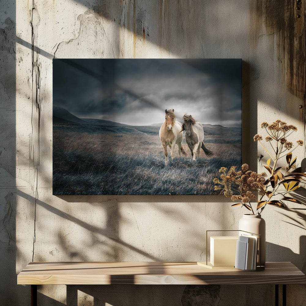 Die Brüder | Leinwand-Bilder